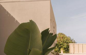 Acacia - Explore your senses - Foto 33