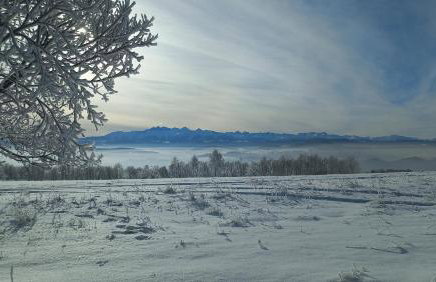 U Halinki - Photo 39