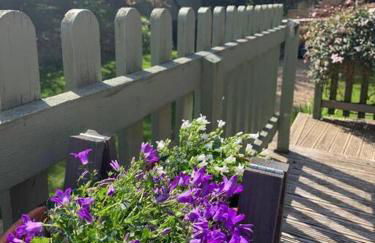 Beautiful Georgian cottage within a private walled garden - Foto 43