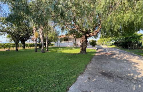 Seguire Le Botti - Agriturismo Cantina Sant'Andrea - Foto 19