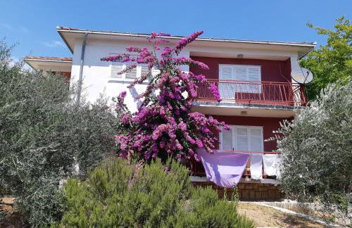 Apartman VeDE Baćina - Foto 19