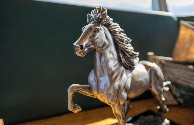 Laugavellir House and Tower Suite - Foto 33