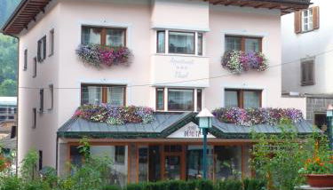 Appartements Tlusel - Foto 1