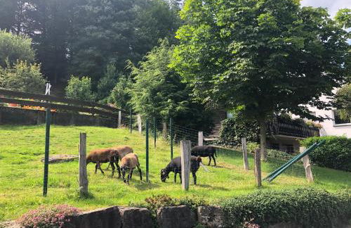 Ferienwohnung am Wald mit Garten & Hot-Tub & Alpakas - Foto 7