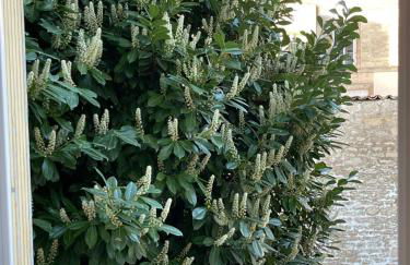 Le Sunny-hyper centre -proche gare - Paisible -WIFI HD -NETFLIX-Idéal couple business et famille - Foto 8