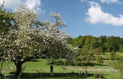Ferienwohnungen Christine - Foto 43