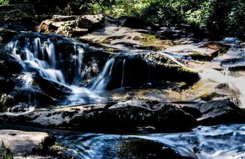 Holiday home in the Harz Mountains with 3 bedrooms - Foto 21