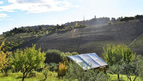 Studio in Marche with Pool near Adriatic - Foto 4, Garden