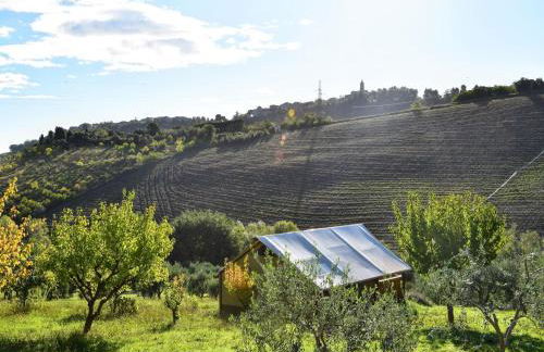 Apartment in Marche with Pool near Adriatic - Foto 17
