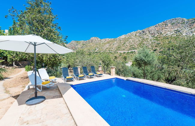 Sa Tarongera in Andratx - Foto 1