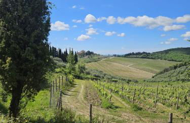 Podere le Muricce - Foto 43