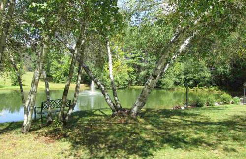 Spacious Condo-Attitash Ski-Storyland-Saco & More!! - Photo 26