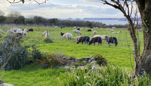 Penty Kergonan avec belle vue mer - Crozon, Bretagne - Photo 2