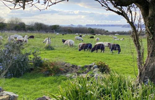 Penty Kergonan avec belle vue mer - Crozon, Bretagne - Photo 2