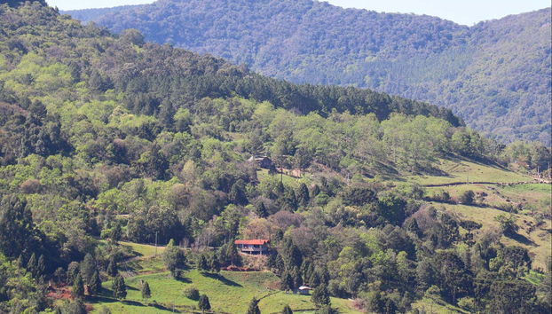 Paisagens que cercam a vinícola