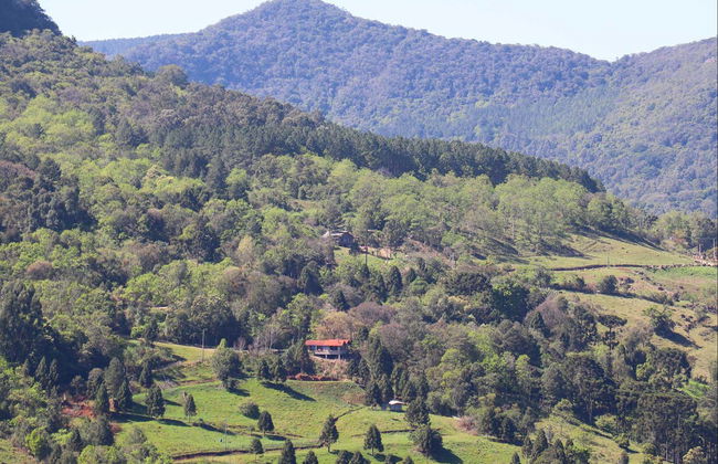 Ingresso da vinícola Jolimont - Foto 2