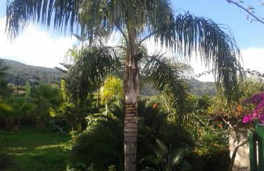 Finca las Palmeras - Foto 36