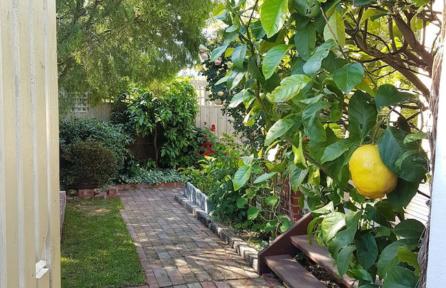 Healesville House - Fig Tree House - Photo 20