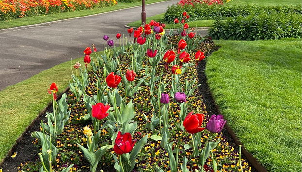 Sovereign Hill, Botanical Gardens & Melbourne Skydeck Tour - Photo 5, Admire the seasonal flowers