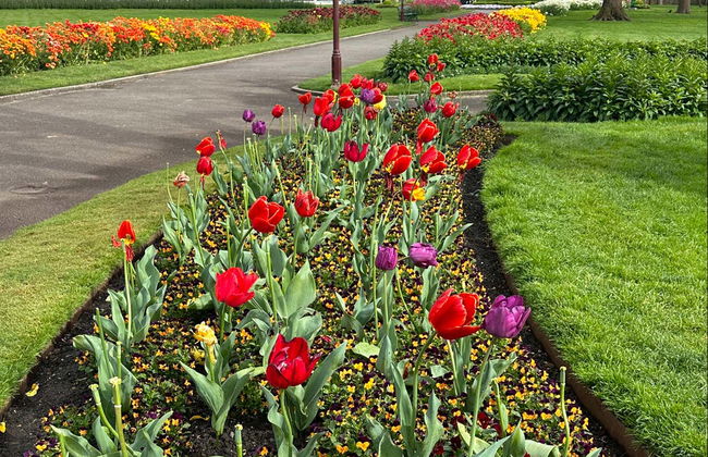 Melbourne Skydeck, Sovereign Hill y Jardín Botánico de Ballarat - Foto 5