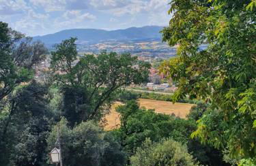 Agriturismo Villino Bellavista - Photo 32