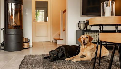 Lieblingshof - Foto 3