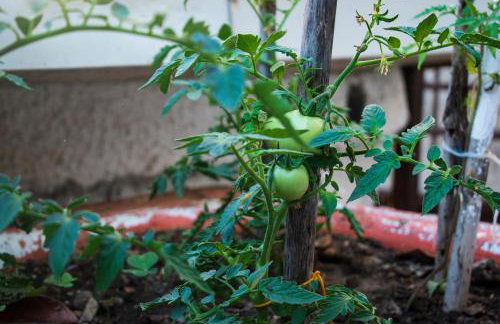 Feel at Home - Photo 6