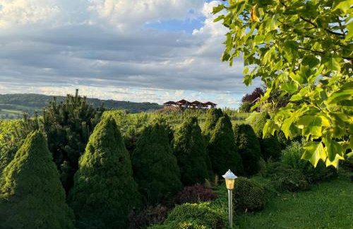 Willa Winnica Maria Anna - Foto 24