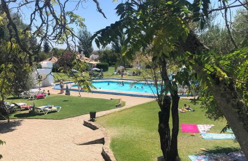 Apartamento 157, Pedras d’el Rei - Foto 17