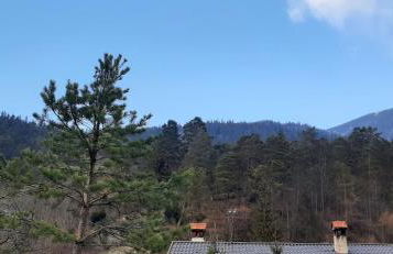 Appartement im Hasental - Foto 19