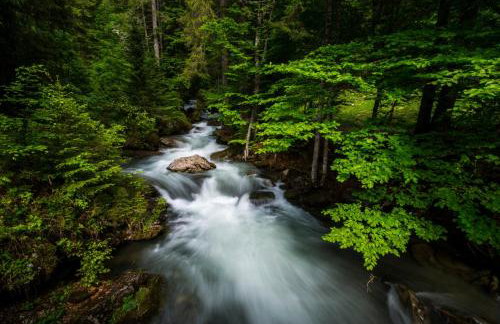 Chalet Ermena - Photo 7