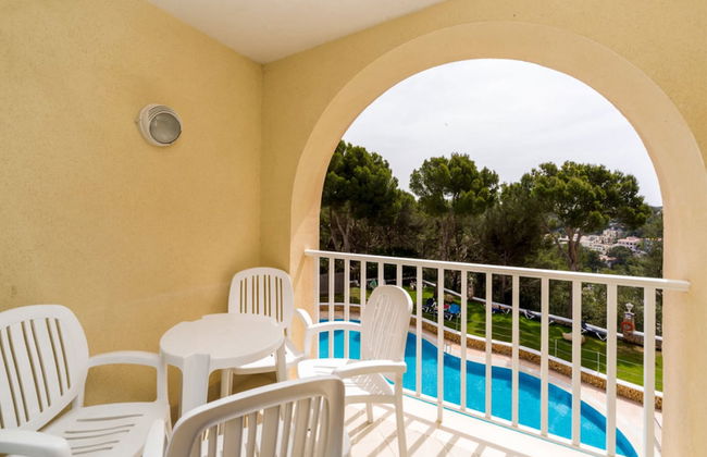 Comitas Floramar - Photo 33