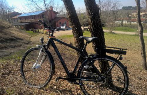 Bosco Romagno - Foto 16