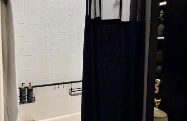 South Lamar Wellness Retreat Sauna Cold Plunge Gym - Photo 29