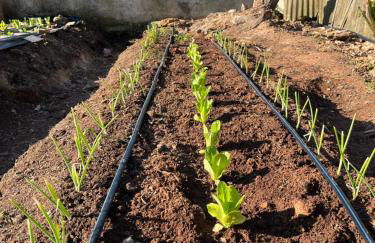 La Casa del Carrubo con Piscina condivisa in campagna vicino al mare - Canestanco 18 - Foto 59