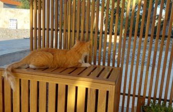 CHARMY LUNA holiday house with swimming pool - Foto 39