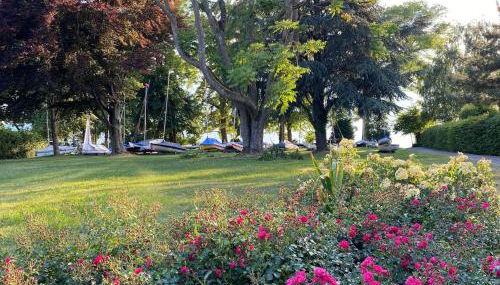 LAKESIDE LODGE - Photo 5, Garden