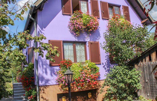 Résidence jaune et rose - Foto 17