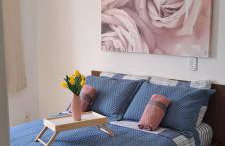 Tulipa - Foto 1