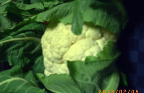 Agriturismo San Pietro - Foto 81