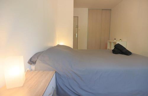 Appart cosy 3 chambres / Fauriel - Foto 13