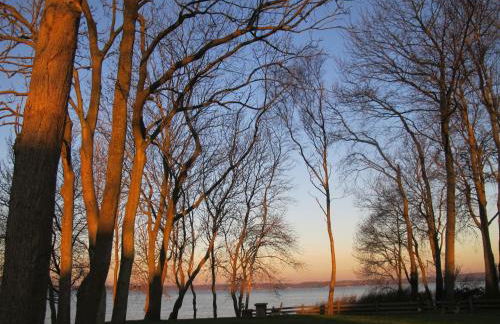 FEWO Muschel - Foto 27