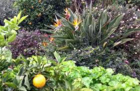 Feliz Apartments - Foto 68