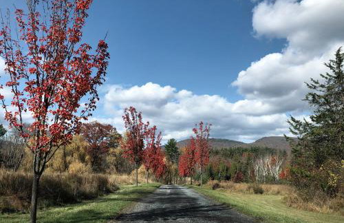 WOODSTOCK HISTORIC ARTIST ESTATE - THE MUSEUM HOUSE - Foto 51