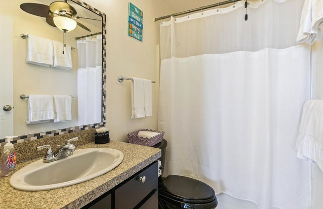 Islander East 309 - Seashell Studio - Photo 13