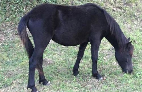 apartamentos turisticos san juan de la peña - Foto 37