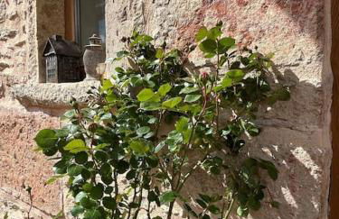 Le Tinailler Grand Standing au Cœur des Vignes - Foto 31