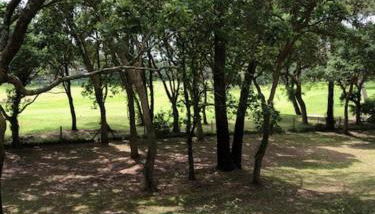 T2 près de la plage et du Club House du Golf - Foto 5