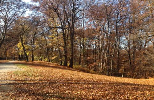 City Apartment Munich - Foto 15