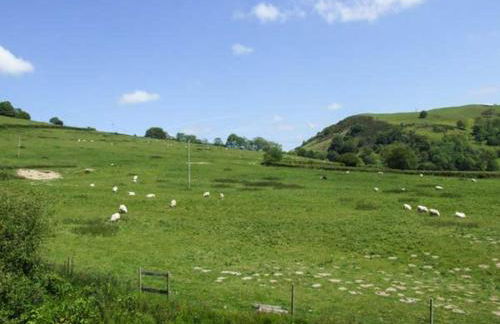 Cwmgilla Farm - Photo 23